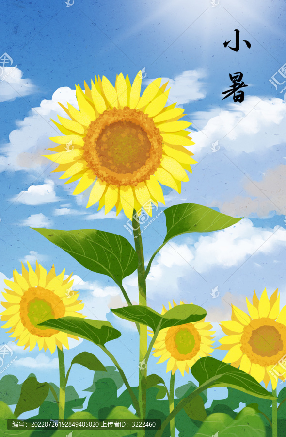 二十四節(jié)氣插畫小暑