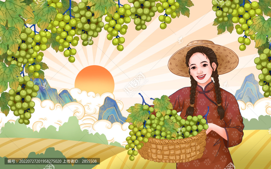 葡萄包裝插畫