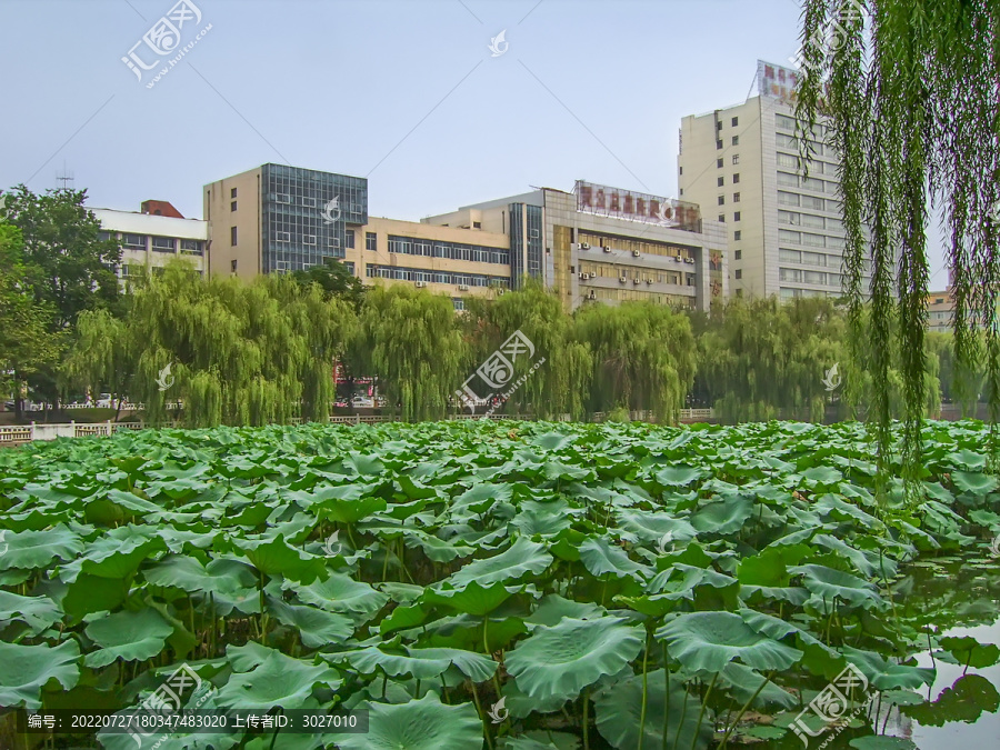 许昌市街景