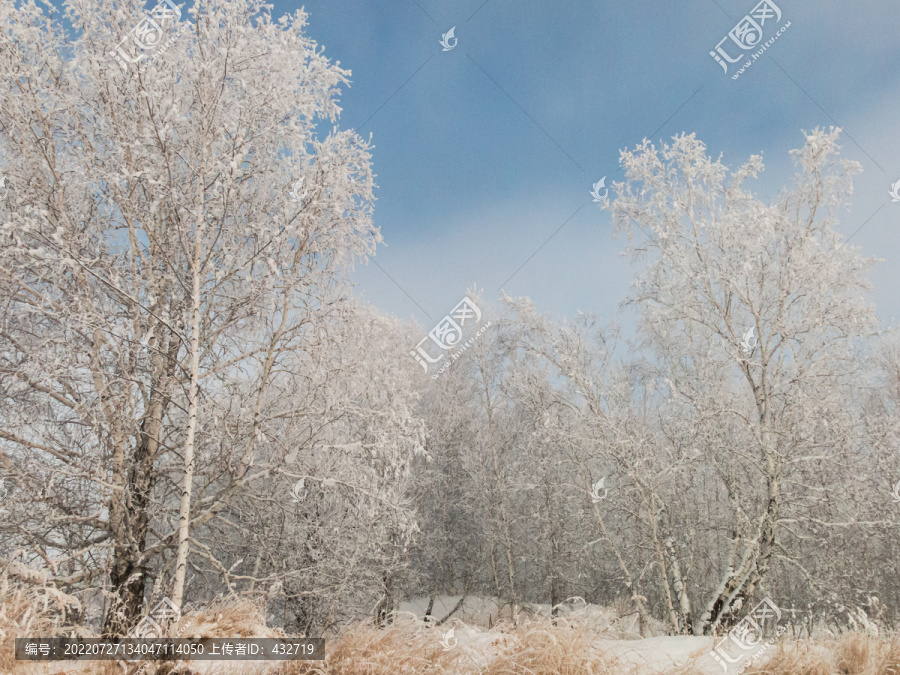 冬季白桦树雾凇天空