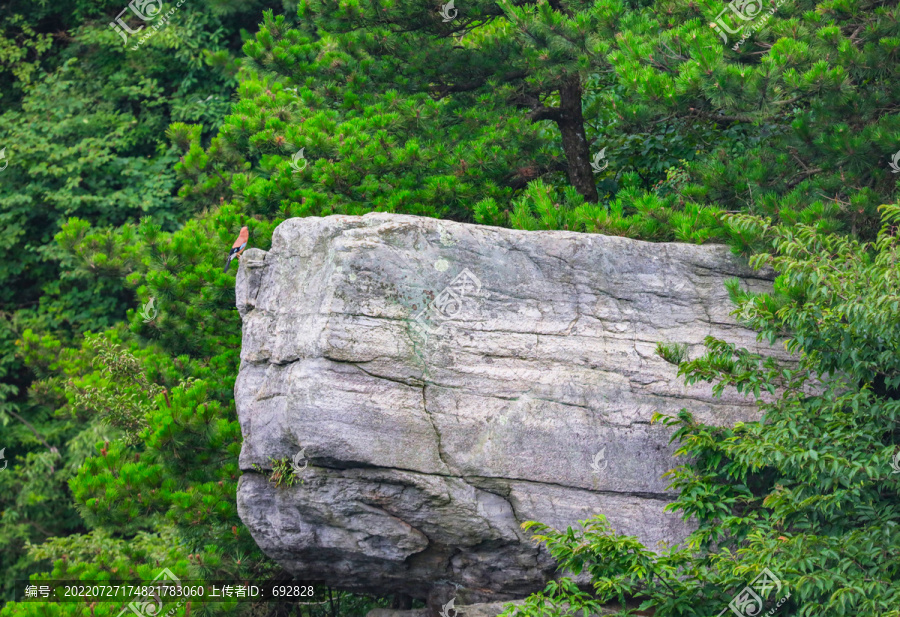 庐山骆驼峰方石