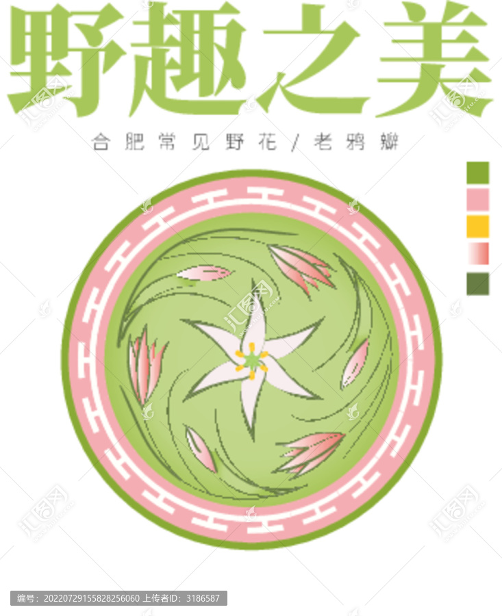 植物紋樣設(shè)計(jì)老鴉瓣植物圖