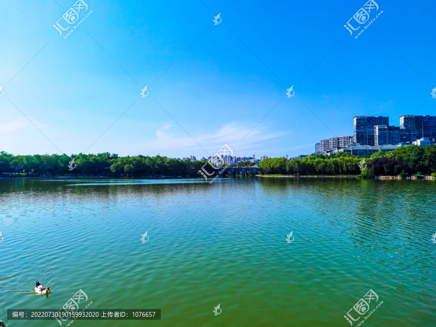 曲江池遗址公园南湖芙蓉园