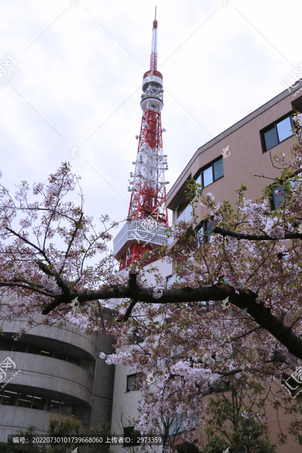 东京塔