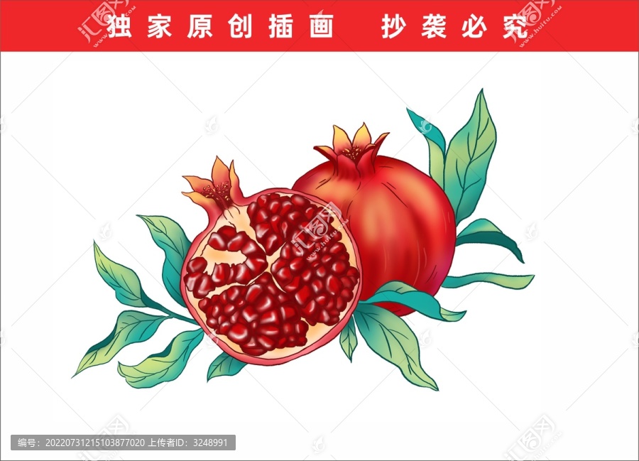 石榴插畫