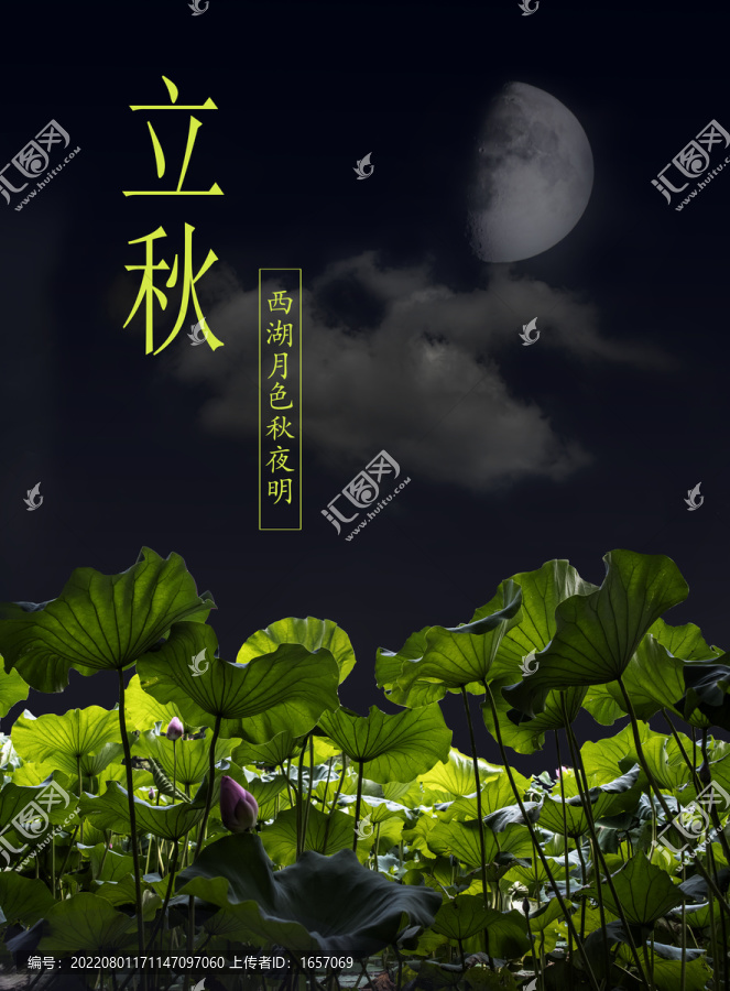 西湖荷塘月色