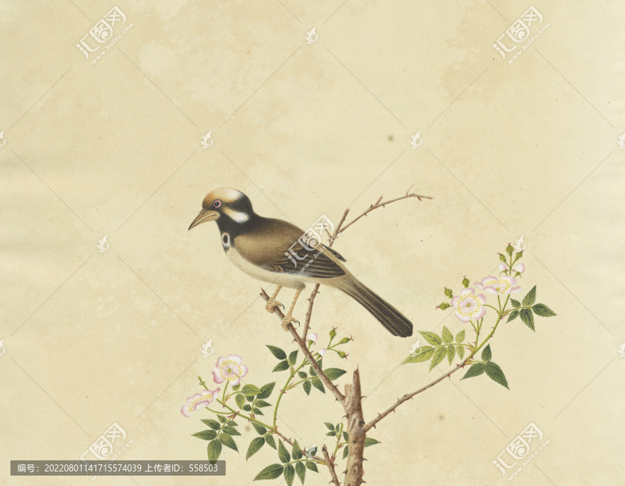 飛鳥(niǎo)花卉水彩花鳥(niǎo)國(guó)畫(huà)裝飾畫(huà)