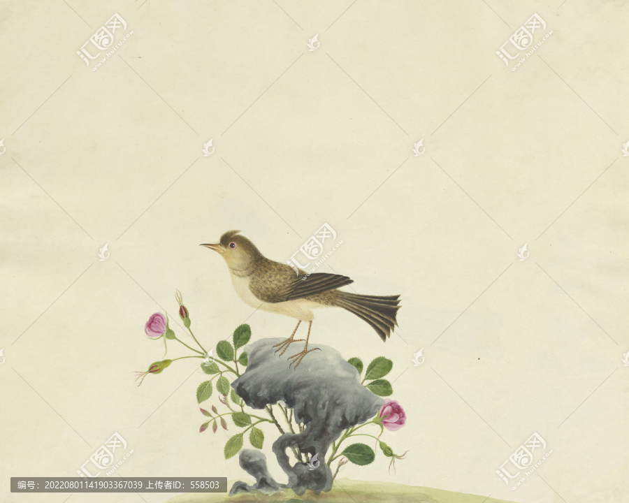 飛雀月季水彩花鳥國(guó)畫裝飾畫