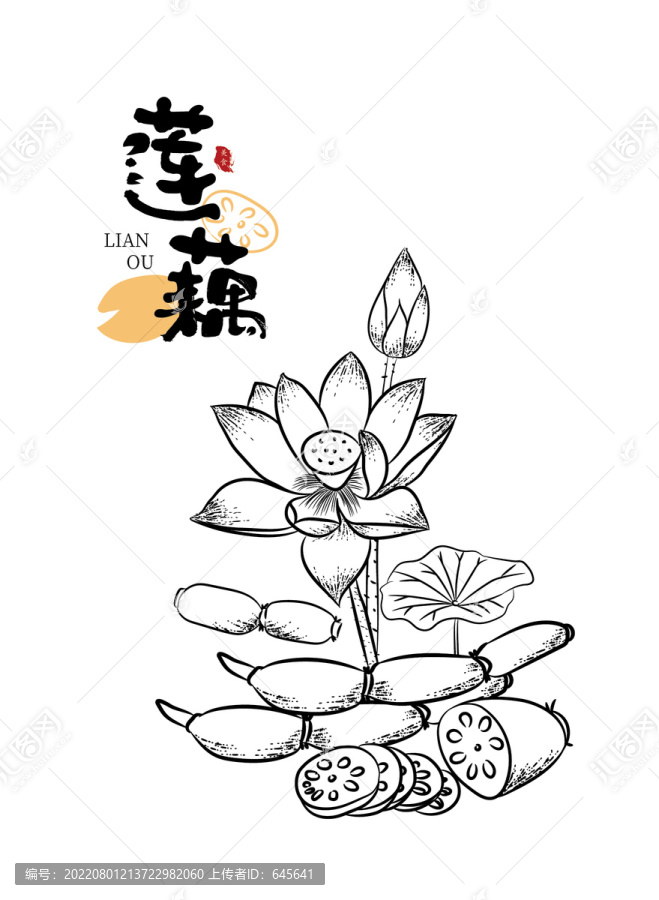 矢量蓮藕插畫(huà)