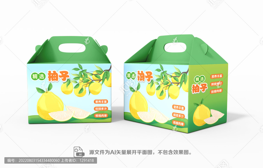 柚子包裝矢量禮盒