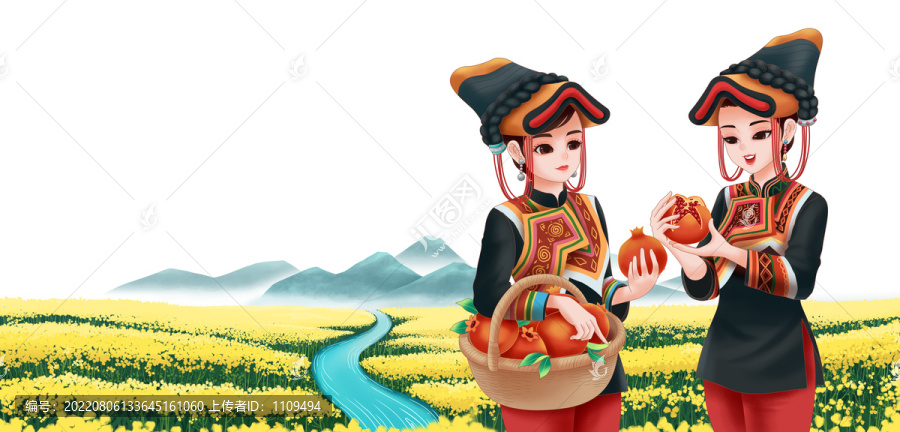 云南石榴水果插畫