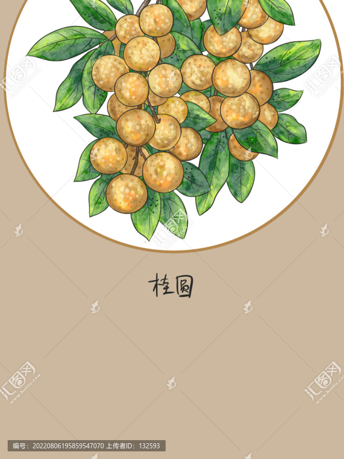 桂圓
