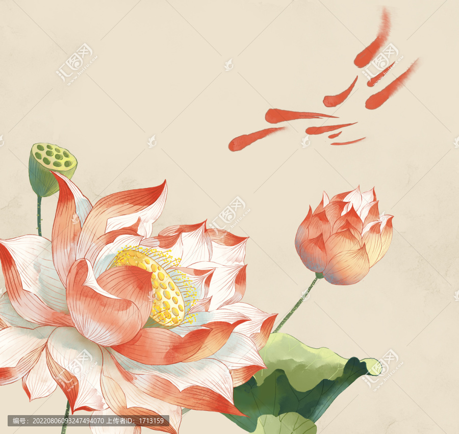 荷花