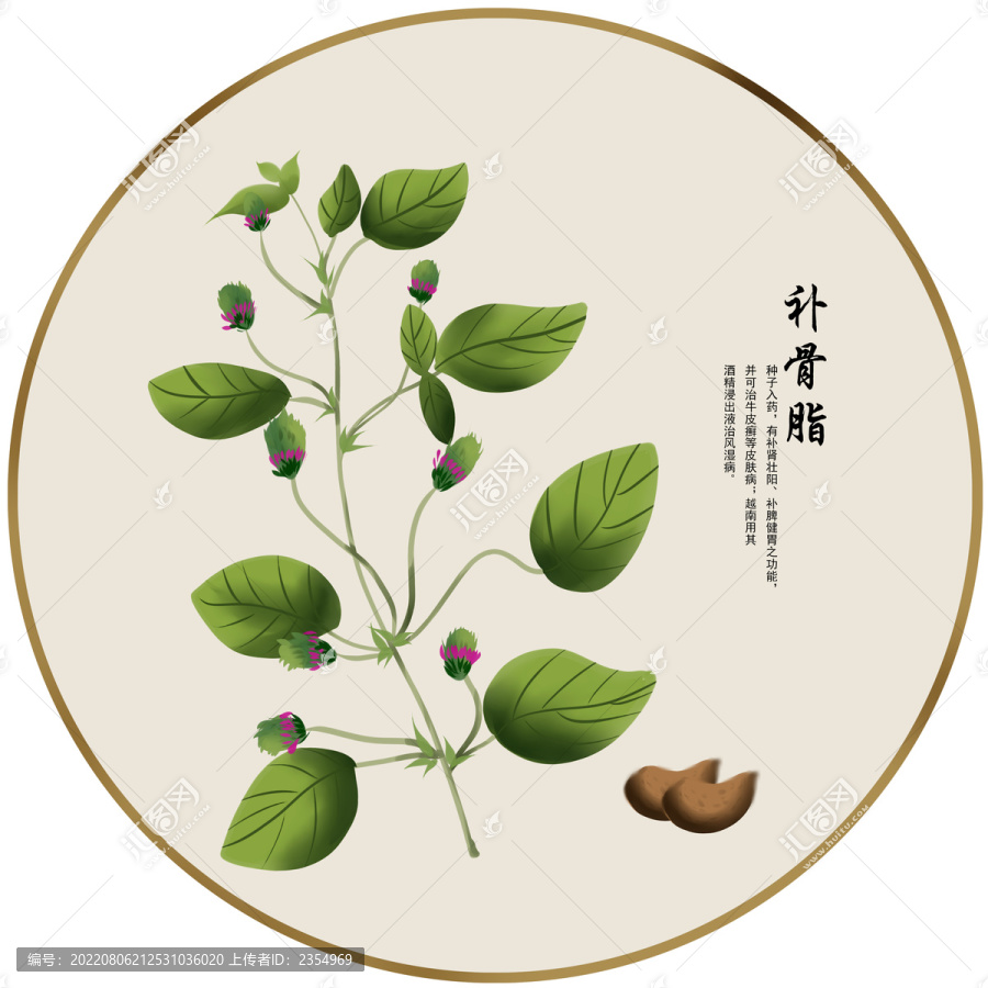 補骨脂
