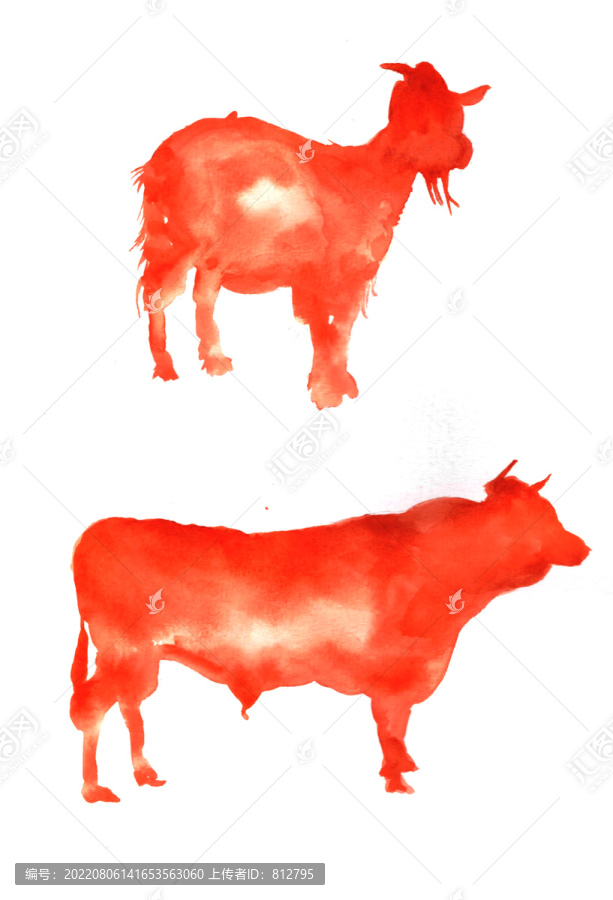牛羊