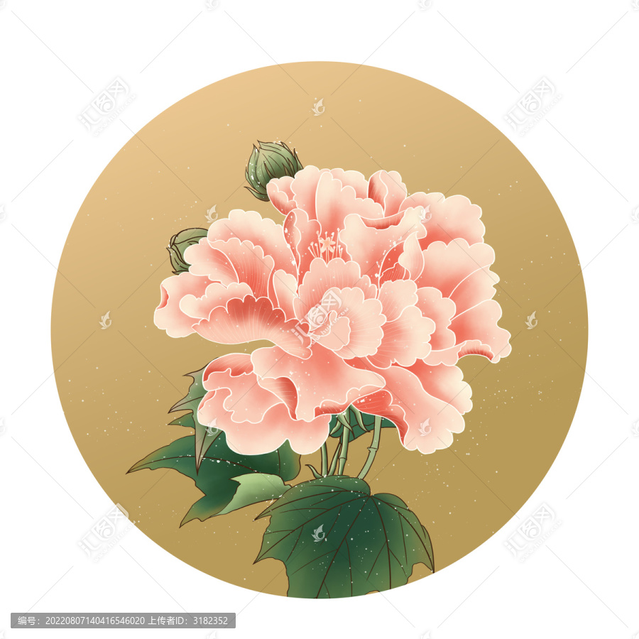 手繪芙蓉花線稿可分離