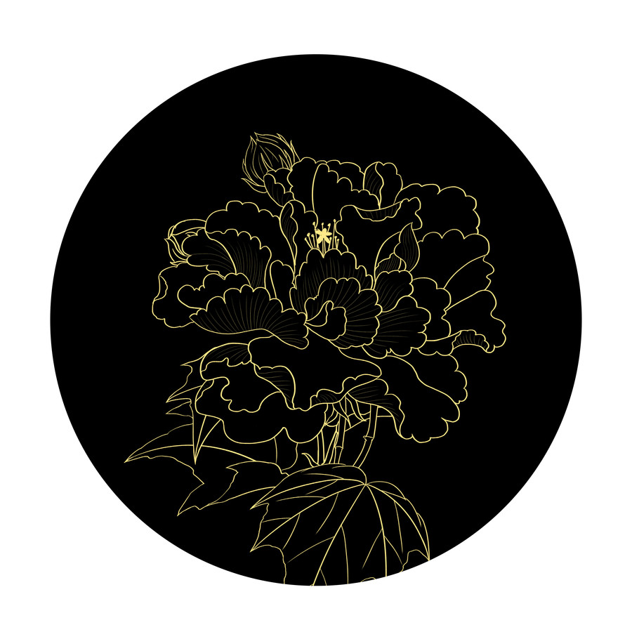 手繪芙蓉花線稿可分離