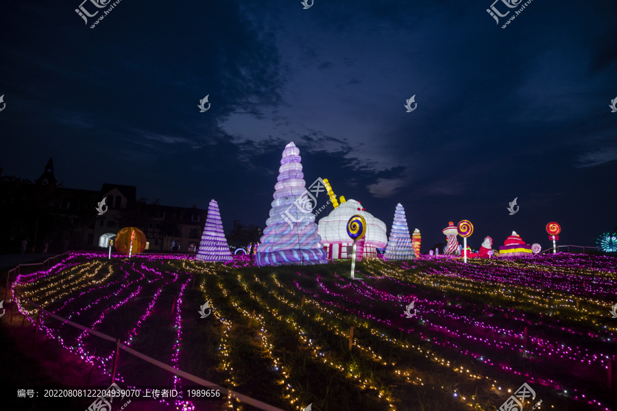 梦幻灯彩灯展夜景