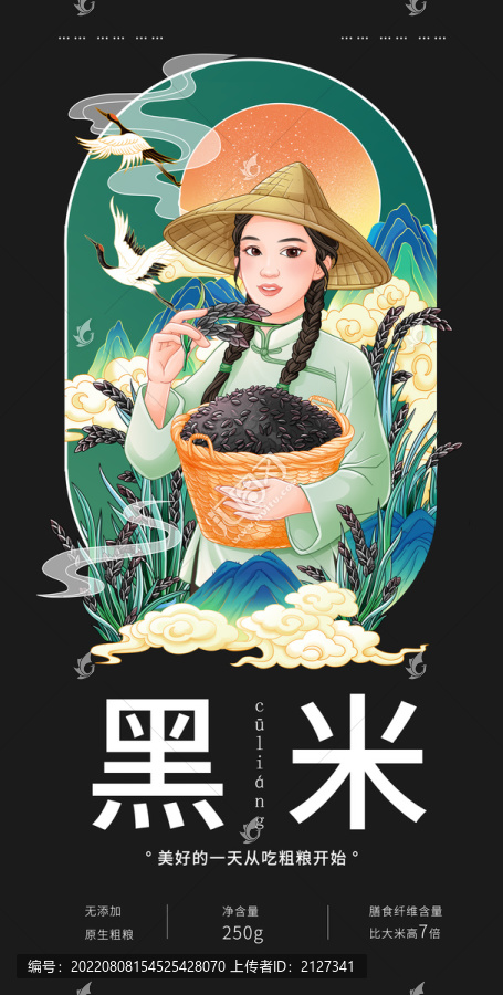 黑米手繪插畫