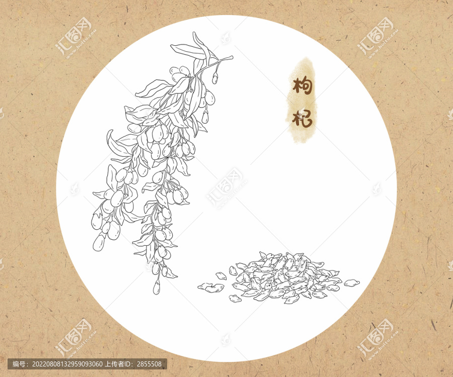 線描枸杞