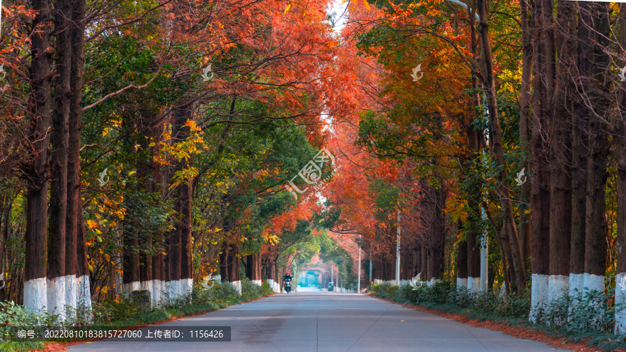 唯美乡村公路