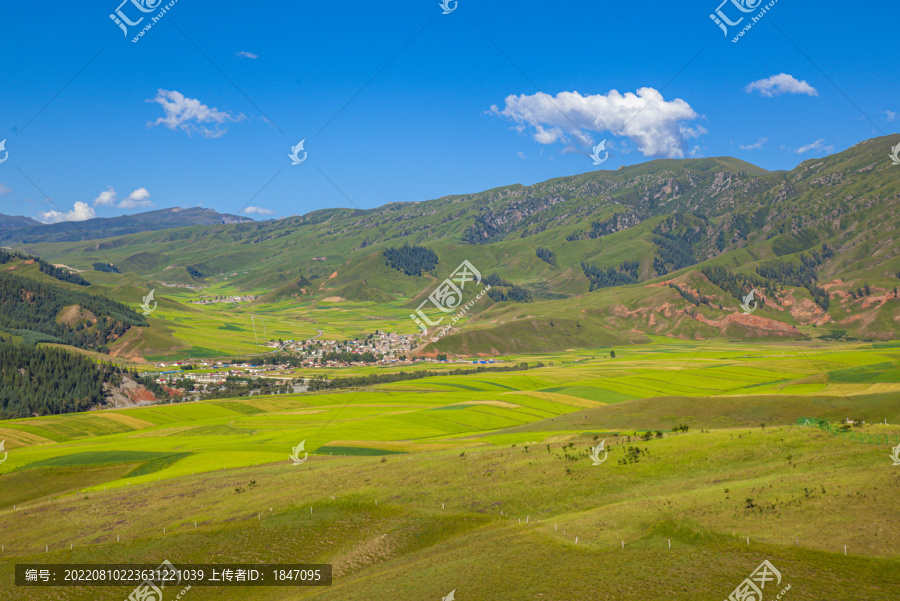 青海卓尔山