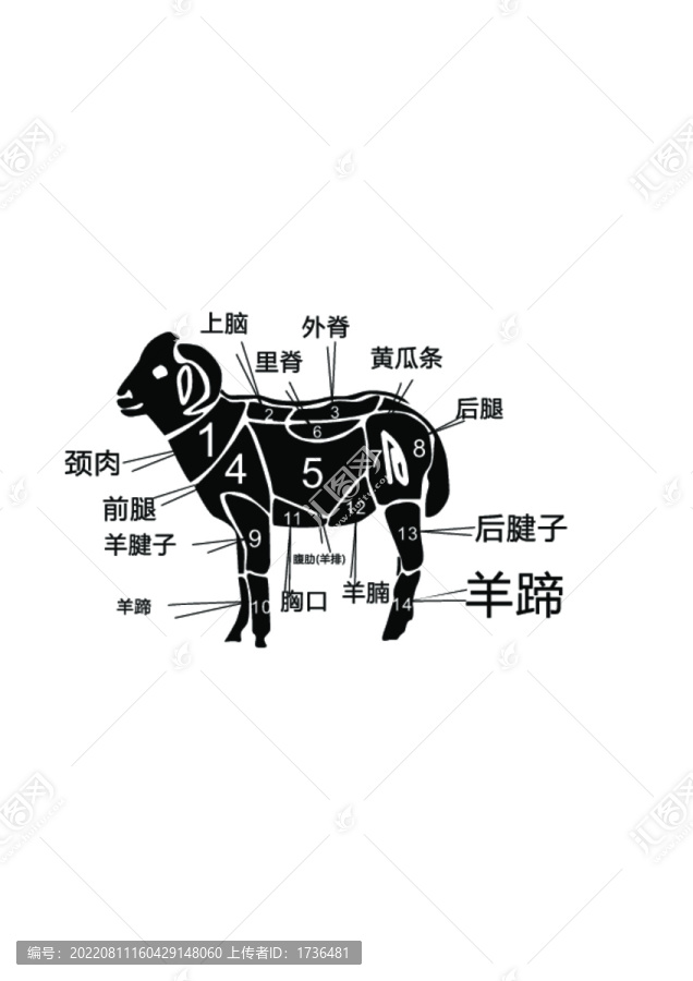 羊分割圖