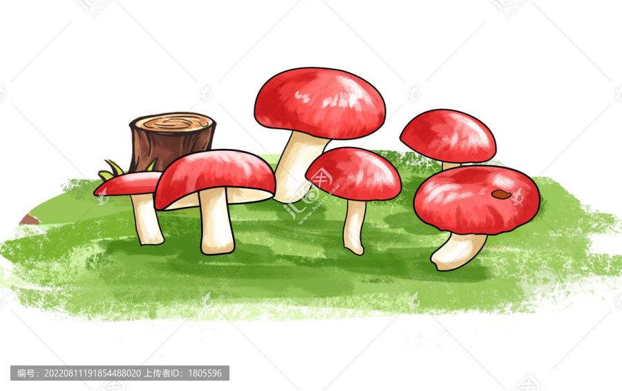 紅菇插畫