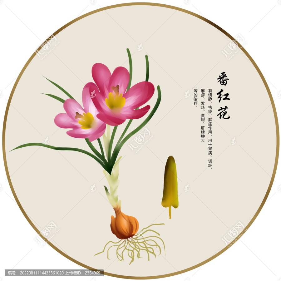 番紅花