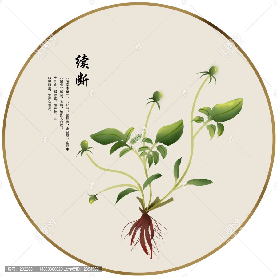 續(xù)斷