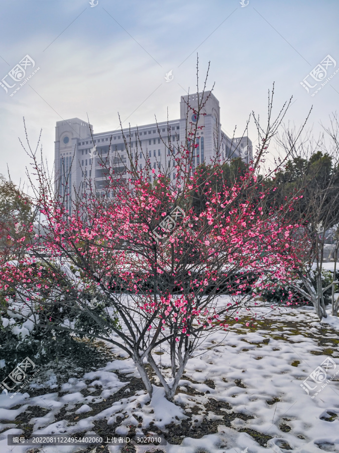 安徽农业大学