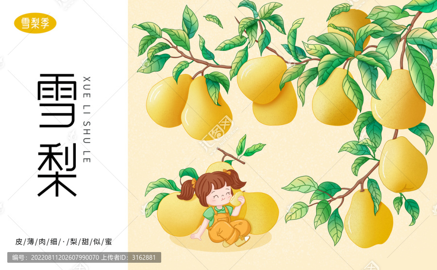 雪梨包裝插畫