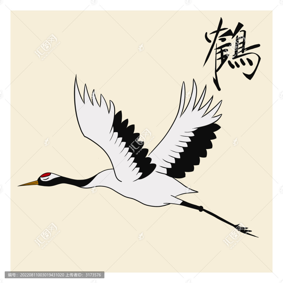 仙鶴空中飛翔彩色