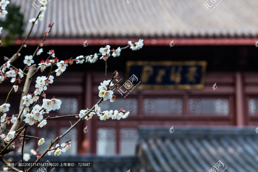 杭州永福寺