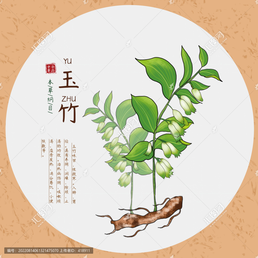 玉竹