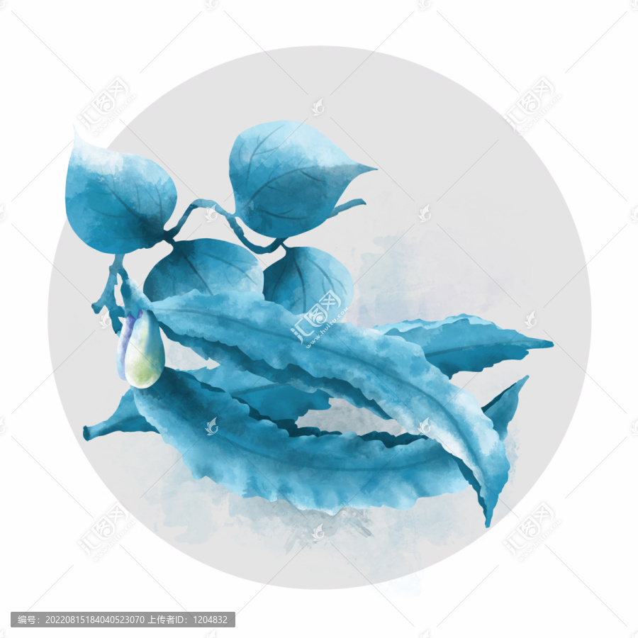 手繪水彩風(fēng)角豆