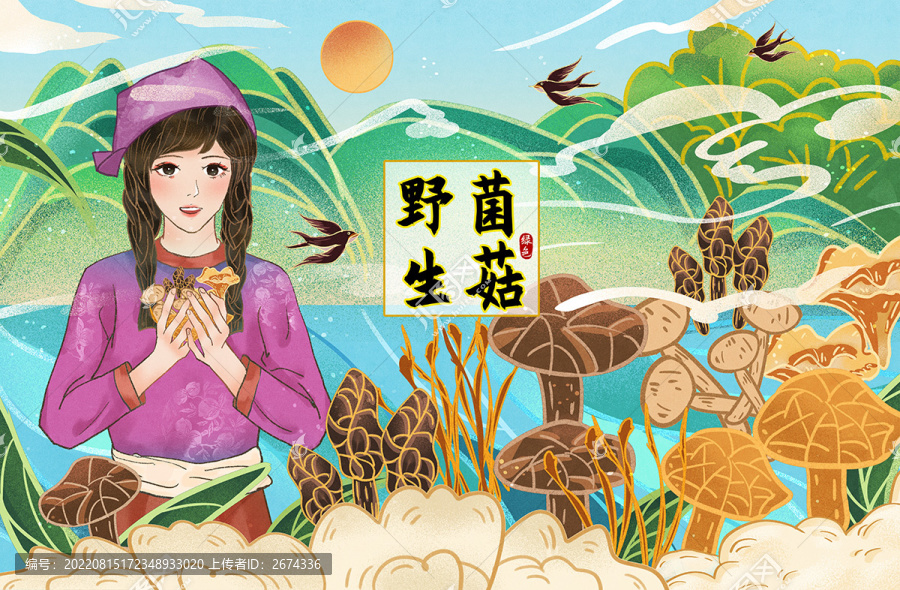 菌菇禮盒山貨山珍包裝插畫