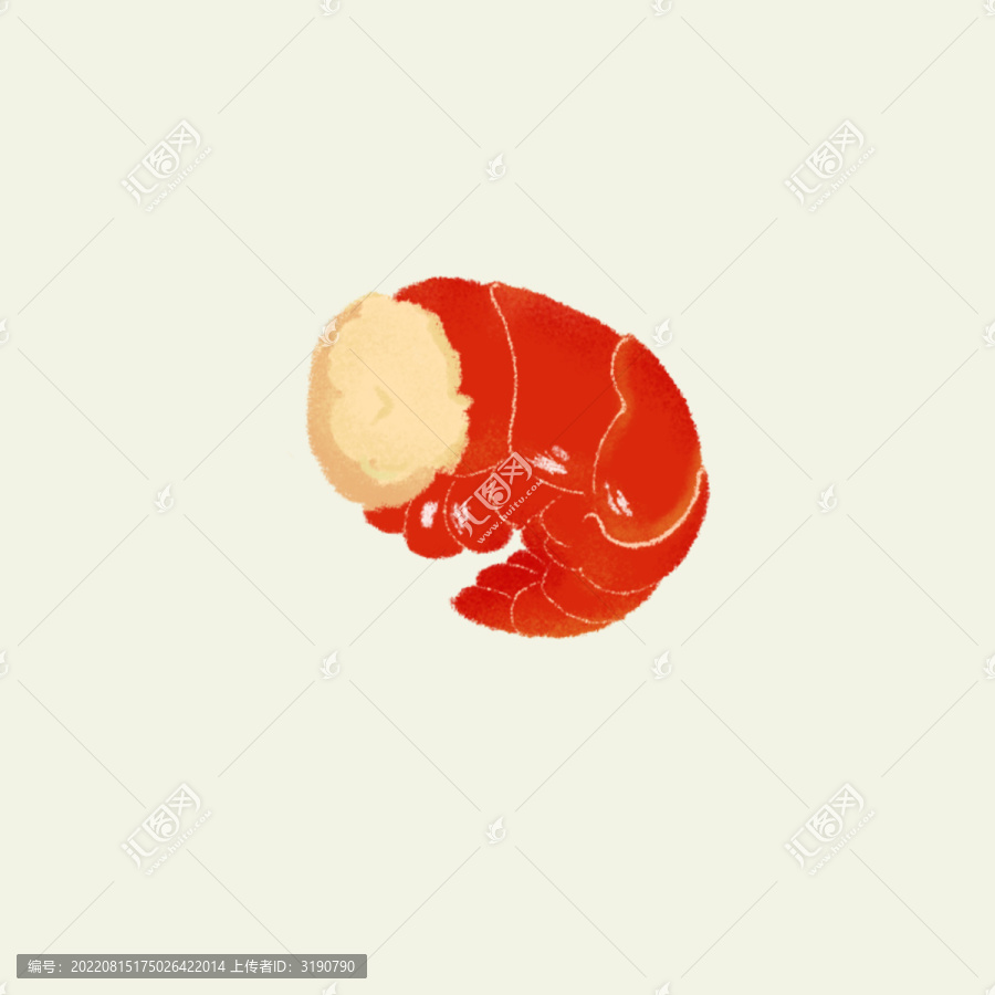蝦尾