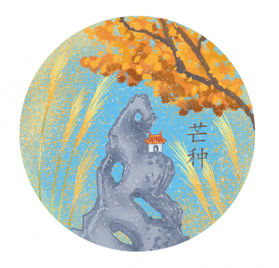 二十四節(jié)氣芒種