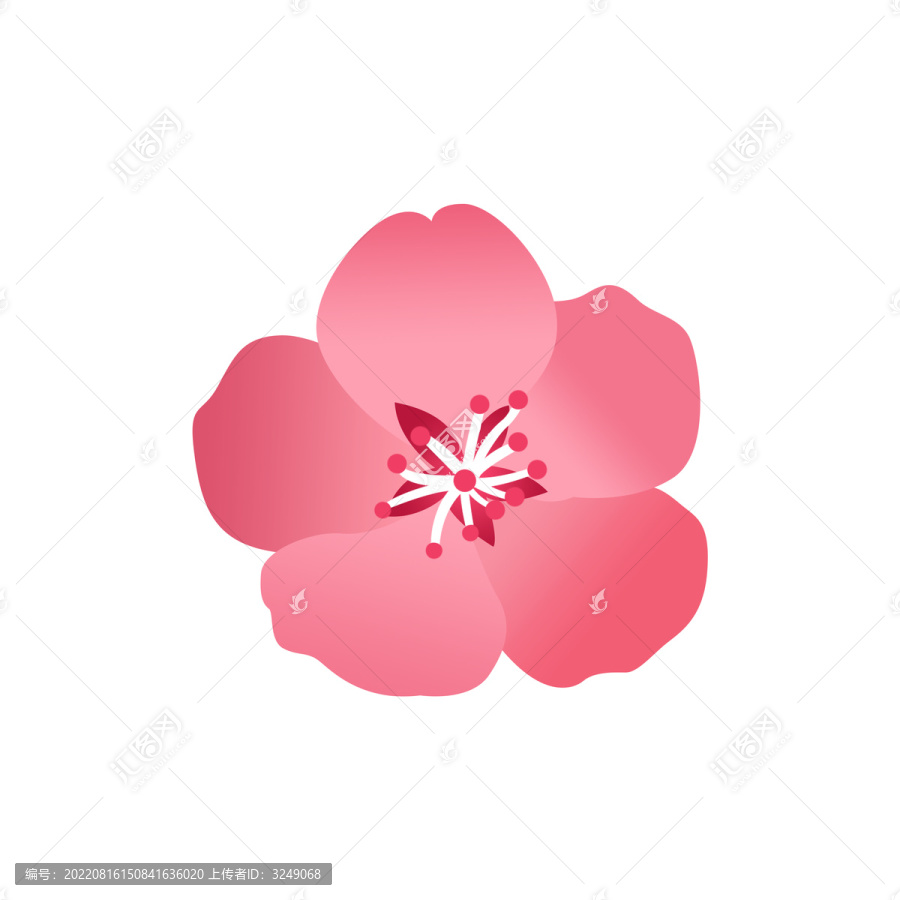 桃花