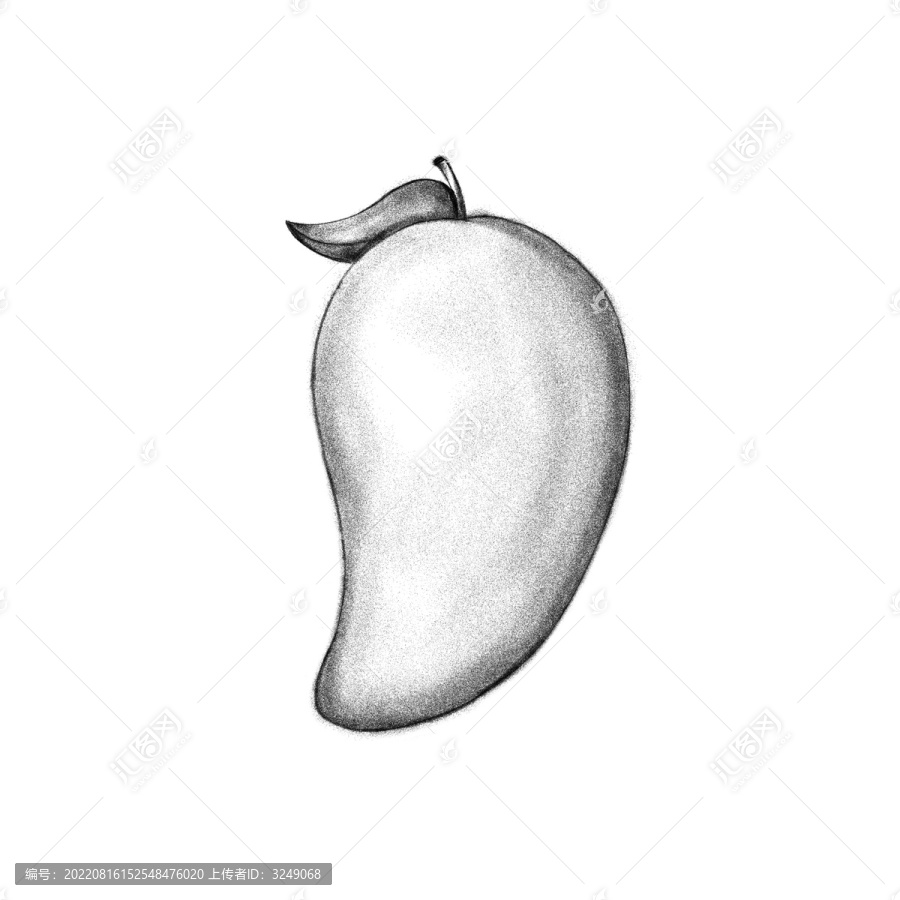芒果素描
