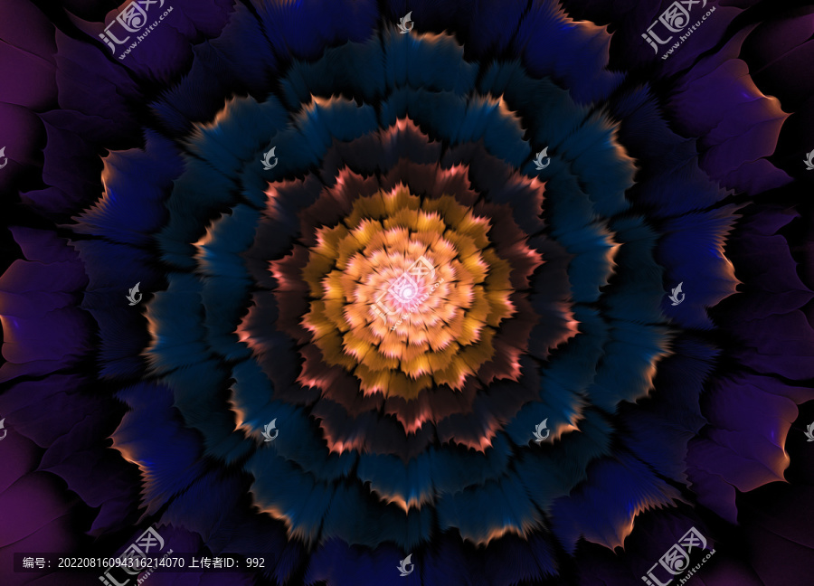 炫彩分形花