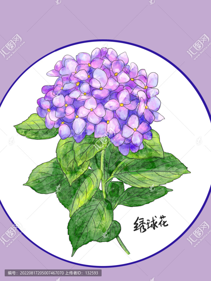 繡球花