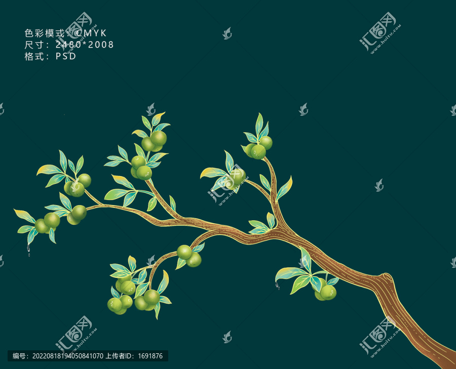 小青柑
