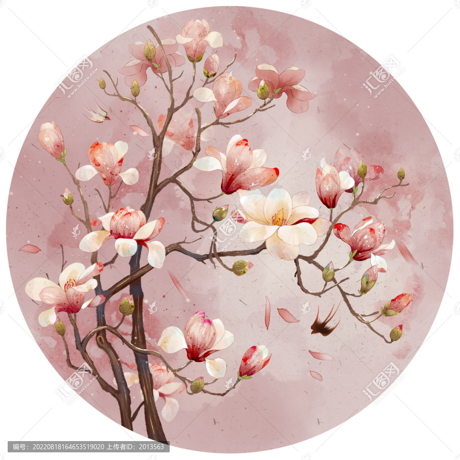 玉蘭花插畫