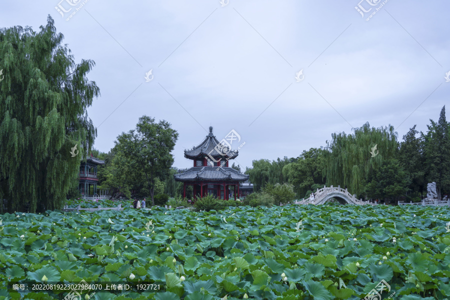 保定古莲花池