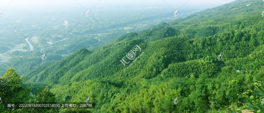 永川茶山竹海