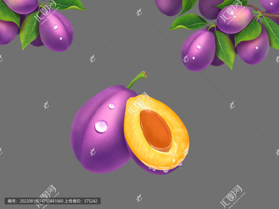 西梅插畫