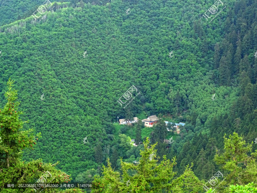 绿植山坡