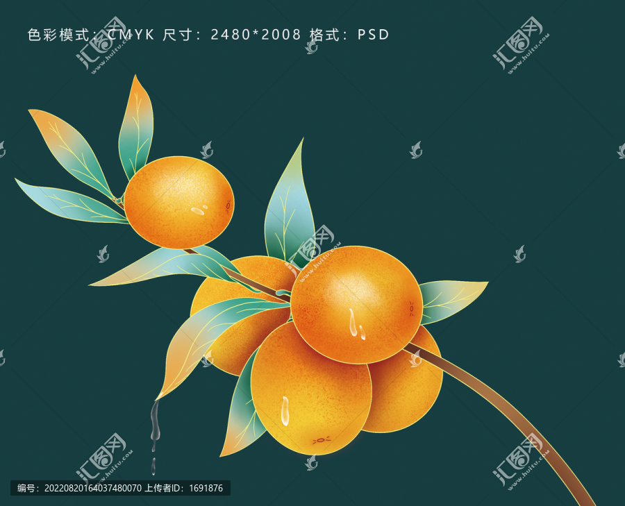 橙子插畫